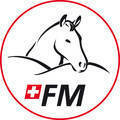 Logo SFV