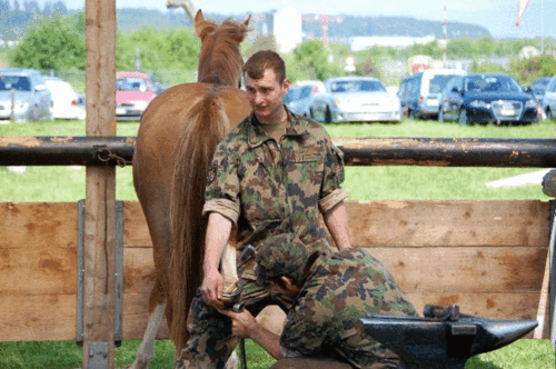 Schweizerische Eidgenossenschaft - Schweizer Armee
