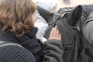 Femme caressant cheval