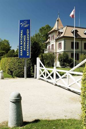Haras national suisse SNG (photo M. Rindlisbacher)